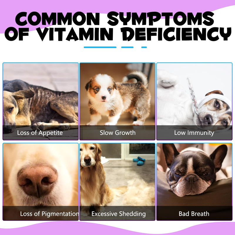 Dog Vitamins and Supplements, Dog Vitamin Liquid for Hip and Joint, Skin Coat, Skin Health, Gut Health, Heart Health, 15 in 1 Multivitamin for Dogs All Breeds and Ages, Dogs Herb Supplement (60ml) Vitamin for Dogs