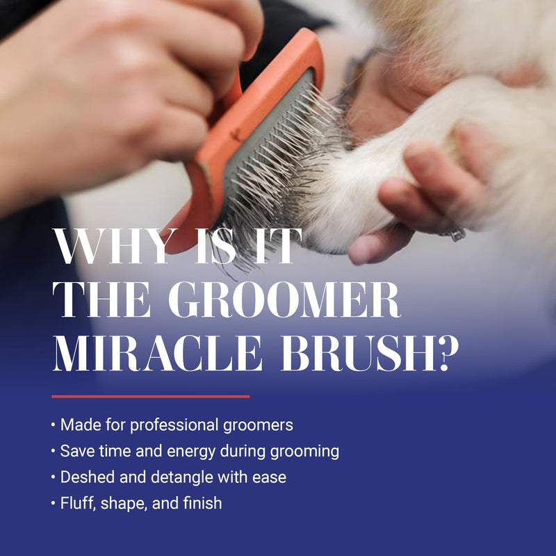 Chris Christensen Big G Dog Slicker Brush for Dogs (Goldendoodles, Labradoodles, Poodles), Groom Like a Professional, Fluff Detangle Style, Saves Time Energy, Coral, Large - BeesActive Australia