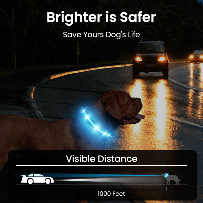 Dog Collar Luminous Rechargeable, Luminous Dog Collar 7 RGB Color Changing with 8 Light Modes, Adjustable LED Waterproof for Small Medium Large Dogs Collar, Black M - BeesActive Australia