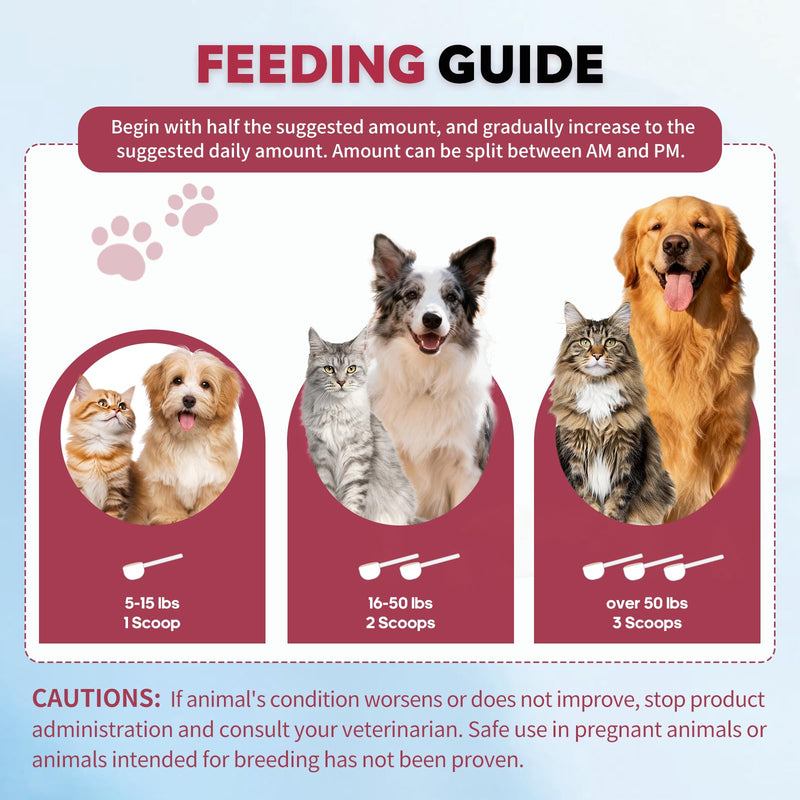Powdered Cranberry Supplement for Dogs and Cats 120 Scoops UTI Treatment Powder with D-Mannose, Omega-3, Supports Pet Kidney Bladder Health Immune and Gut Support Bladder Control for Dogs