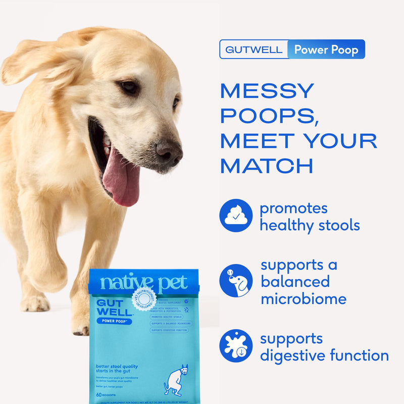 Native Pet Gut & Gnaw Bundle: 60 Scoops GutWell Power Poop - Digestive Enzymes & Fiber for Dogs & 3 Medium Yak Cheese Himalayan Dog Chews - Long Lasting Dental Sticks