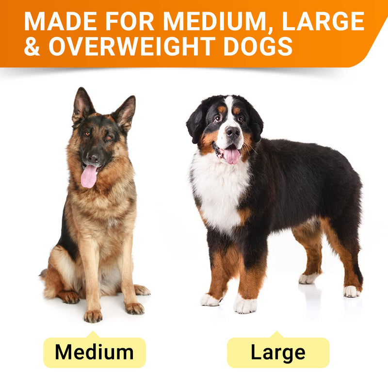 Glucosamine for Large Dogs - Joint Supplement Large Breed w/ Omega-3 Fish Oil - Chondroitin, MSM - Advanced Mobility Chews - Joint Pain Relief - Hip & Joint Care - Chicken Flavor - 360Ct - Made in USA LargeDogs (Value Pack) (360 Ct) - BeesActive Australia