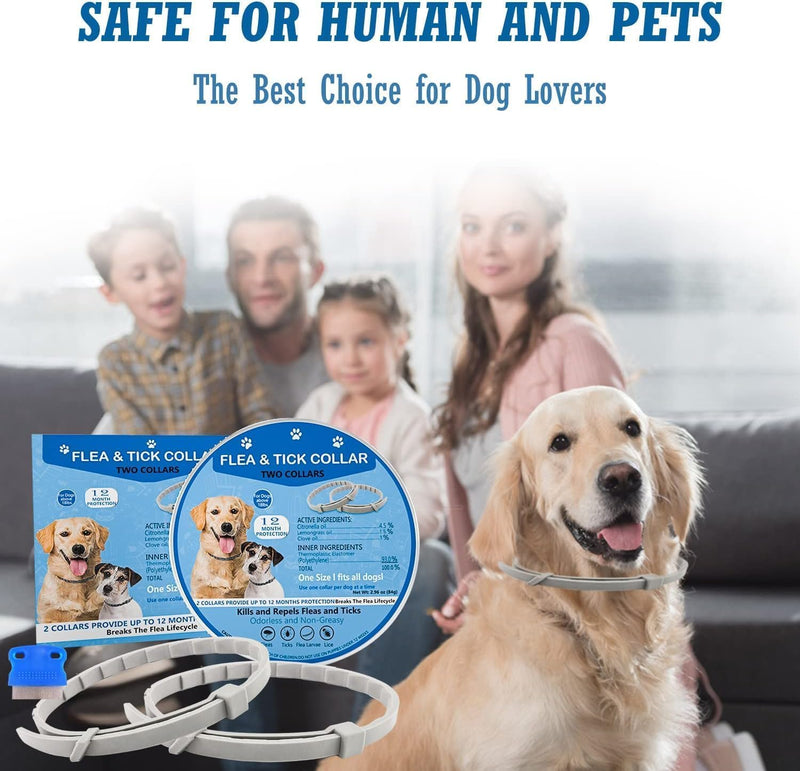 Flea Collar for Dogs, Flea and Tick Collar for Dogs, Dog Flea Collar Long Flea and Tick Prevention, Dog Flea and Tick Collar, Adjustable, Flea Collar One Size Fits All Dogs 2 Pack - BeesActive Australia