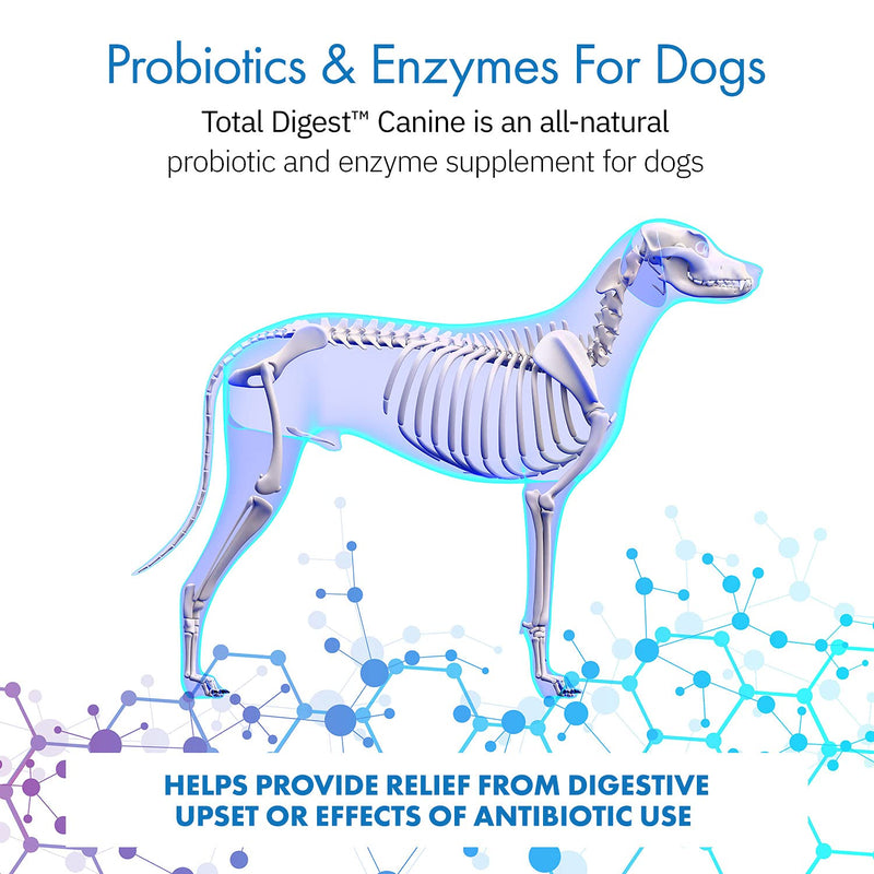 Total Digest™ Canine Probiotics and Enzymes for Dogs, All-Natural Digestive System Dietary Supplement Formula for Dogs (120 Days) - BeesActive Australia