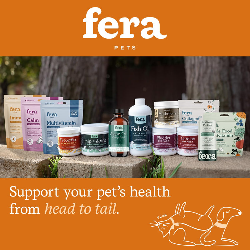 Fera Pet Organics Pumpkin Plus Fiber Supplement for Pets - Vet Created - Dog & Cat Regularity & Gut Function - Organic Pumpkin Seeds, Flax Seeds - 90 Scoops - BeesActive Australia