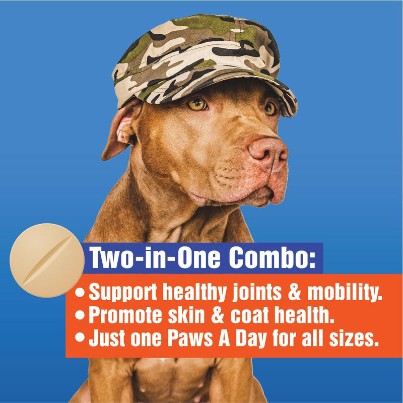 Glucosamine for Dogs Hip & Joint Supplement – “Two-in-One Combo” Dog Joint Care and Improved Skin & Coat with Chondroitin, MSM, Omega 3, Collagen & Biotin, 60 Chewable Tablets Pack of 1 - PawsPlanet Australia