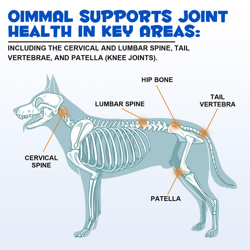 Dog Joint Aid & Relief Supplement, Liquid Supplement to Promote Healthy Joints, Cartilage & Mobility, Hip and Joint Supplements, Relieves Joint Pain for Dogs, 60ml