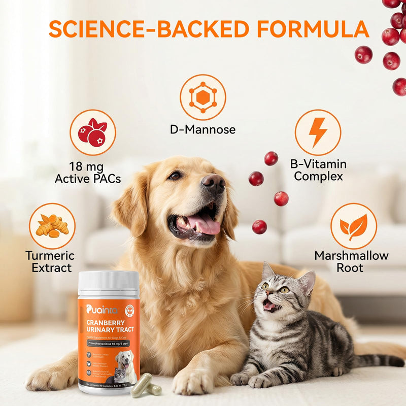 PUAINTA Cranberry Urinary Tract Support for Dogs & Cats | 18mg Active PACs + 50mg D-Mannose | UTI & Bladder Wellness Supplement for Pets | 90 Count 90 Capsules