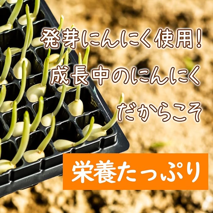Tetsuko's Germinated Garlic Egg Yolk 124 grains, 1 month supply, completely additive-free, Saga prefecture sprouted garlic, fertilized eggs, Miyahara Farm - BeesActive Australia