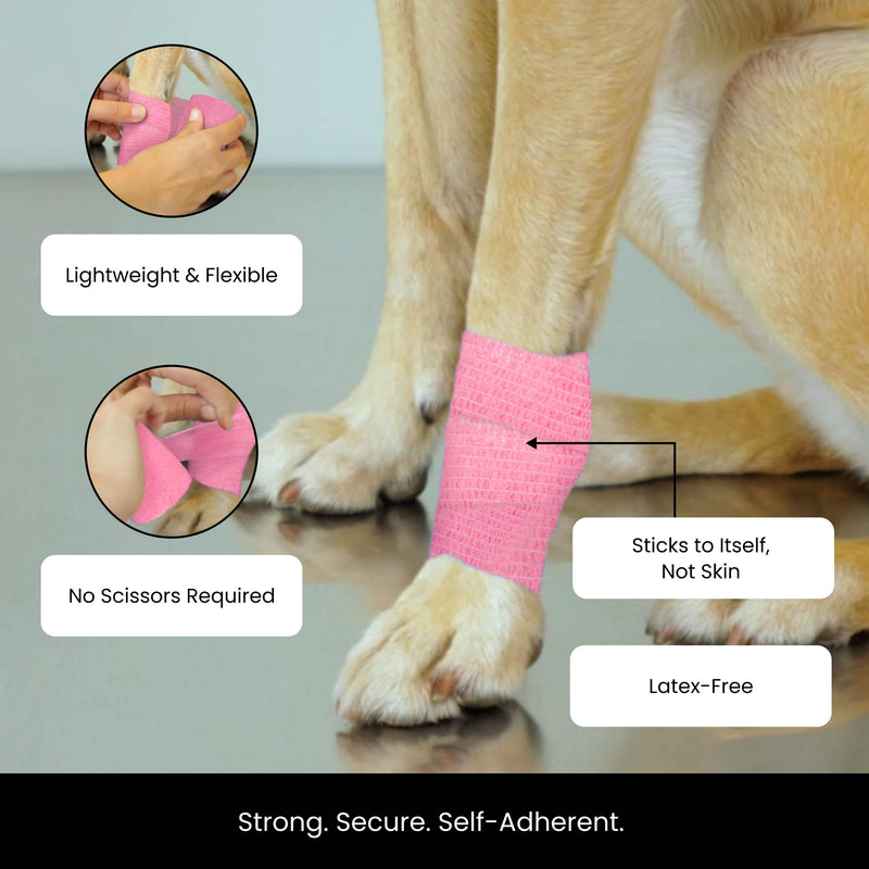 Juvale Vet Wrap Cohesive Bandage Tape - Self-Adherent Support & Bandage Wrap - Sport Stabilization & Athletic Tape - All-Purpose First Aid Medical Supply - 2 in x 5 yd, Pack of 24, 12 Colors Multi-coloured - BeesActive Australia