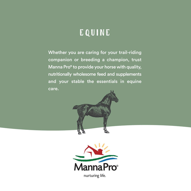 Manna Pro Bounce Back Supplement | Multi-Species Electrolyte | 4 oz - BeesActive Australia