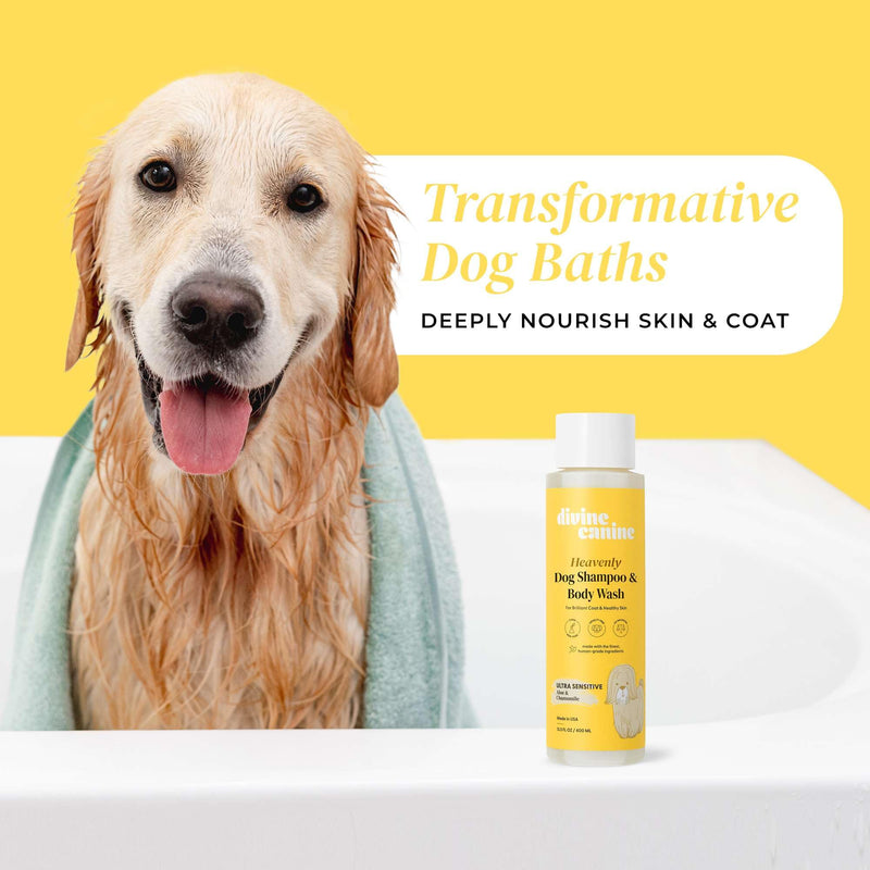 Dog Shampoo and Body Wash - 13.5 Fl Oz of Ultra Sensitive Dog Wash - Made with Aloe and Chamomile for a Healthy Skin and Coat - Made in The USA - PawsPlanet Australia