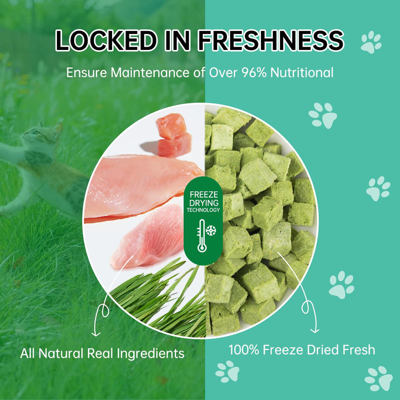 Cat Grass Treats Granules - Natural Freeze Dried Cat Snack for Cat Chew Teeth Cleaning and Hairball Removal Edible（80g） Cat Grass Sticks (2.6OZ) - PawsPlanet Australia
