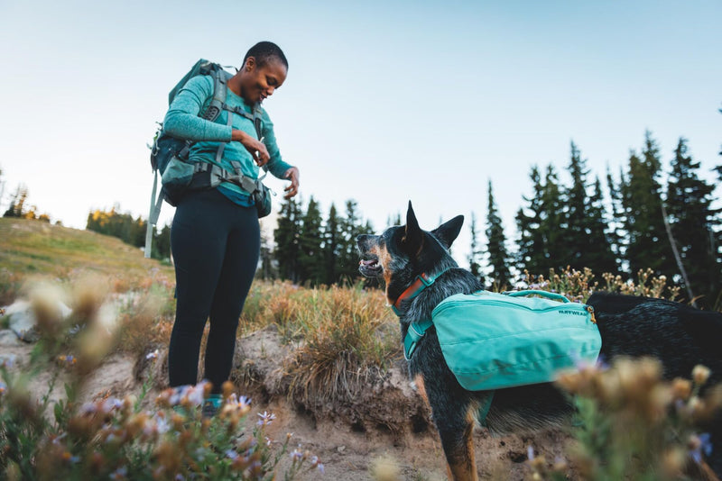 Ruffwear, Front Range Dog Collar, Durable and Comfortable Collar for Everyday Use, Red Canyon, 14"-20" 14"-20" - BeesActive Australia