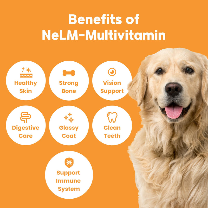 Mepet NeLM Multivitamin for Dogs - 10 Vitamins and Minerals for Skin & Coat, Hip & Joint Support, Digestion, Immune Health - Oral Dissolving Film, Allergens and Additives Free - Beef Flavor (30 Films) - BeesActive Australia