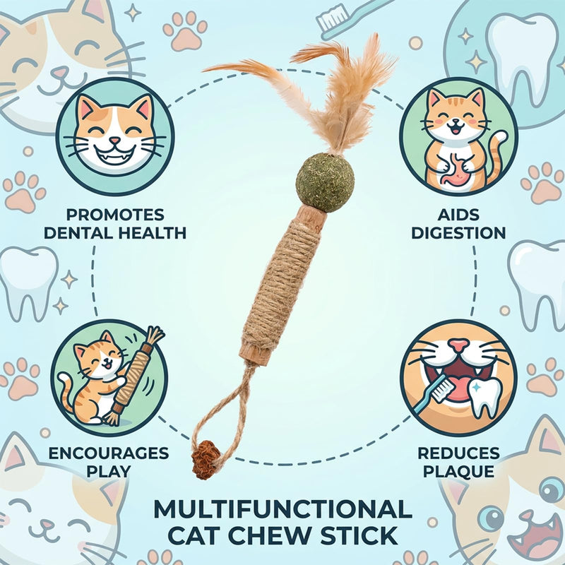 XZSKD 6pcs Silvervine Chew Sticks for Cats, Cat Dental Treats with Natural Silver Vine, Dental Care Solution for Indoor Cats, Six Chew Sticks for Teething Kittens and Adult Cats