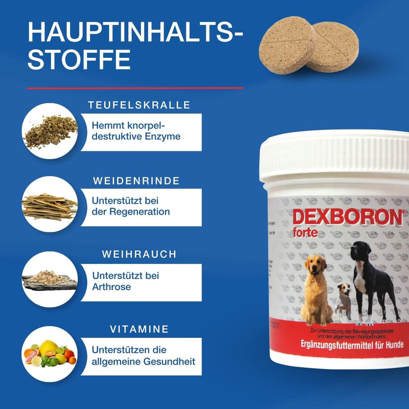 NutriLabs Dexboron® forte dog chewable tablets 50 PCS. - Tablets with devil's claw for dogs - Dog regenerating agent with willow bark, frankincense extract and much more - Dog regenerating agent 50 pieces - BeesActive Australia