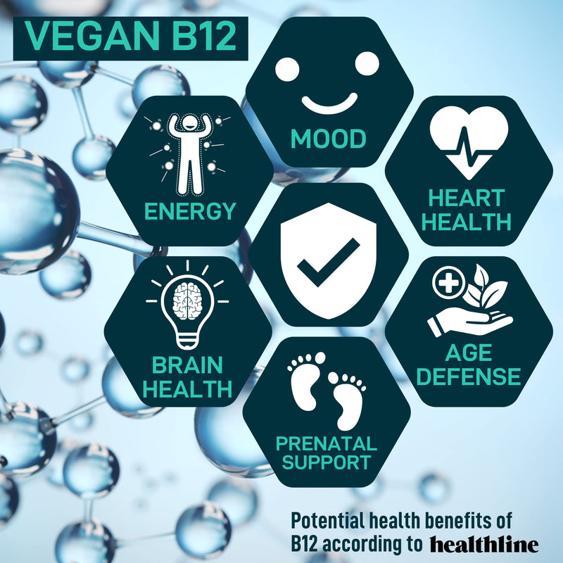 Vegan Probiotic Plus B12 & FOS - 22 Billion CFU Synbiotics Prebiotics and Probiotics for Digestive Health, IBS, Mood Support - B12 Pre Pro Post Biotics for Women & Men - 60 Gluten-Free Capsules Probiotic Unflavored