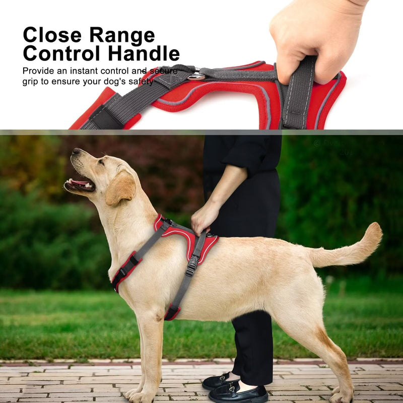 Beirui No Pull Dog Harness, No Choke Front Clip Dog Harness for Large Dogs, Adjustable Soft Padded Dog Vest harness with Easy Control Handle and Reflective Strips for Medium Dog Easy Walking(Red,L) - BeesActive Australia