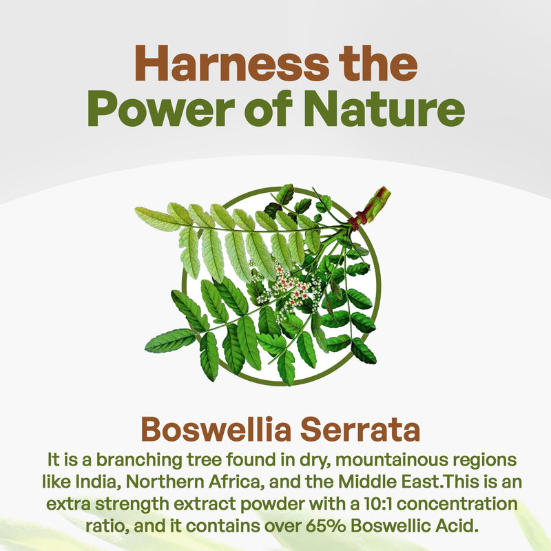 Go Nutra Boswellia Serrata Extract Powder 10:1 Strength 65% Boswellic Acid Frankincense Supplement Joint Support - 8 oz. - BeesActive Australia