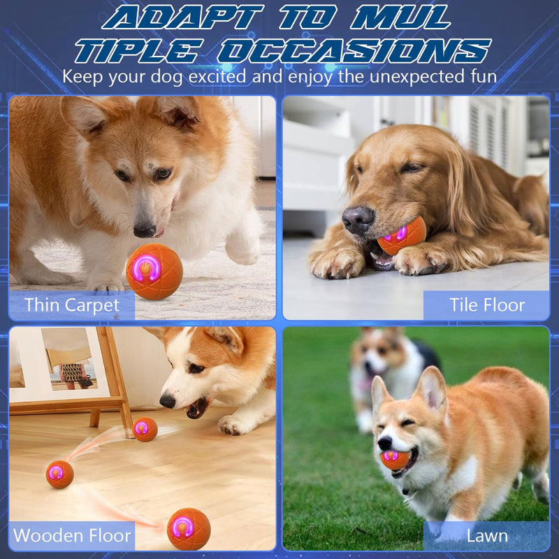Shaky Ball Toy for Dogs,Shaking Dog Ball,Interactive Dog Ball,Automatic Moving Dog Toy Ball,USB Rechargeable Vibrating Dog Ball Remote Control Shaking Pet Ball for Dogs Cats (2PCS+Replacement Shell) 2 PCS+Replacement Shell - BeesActive Australia