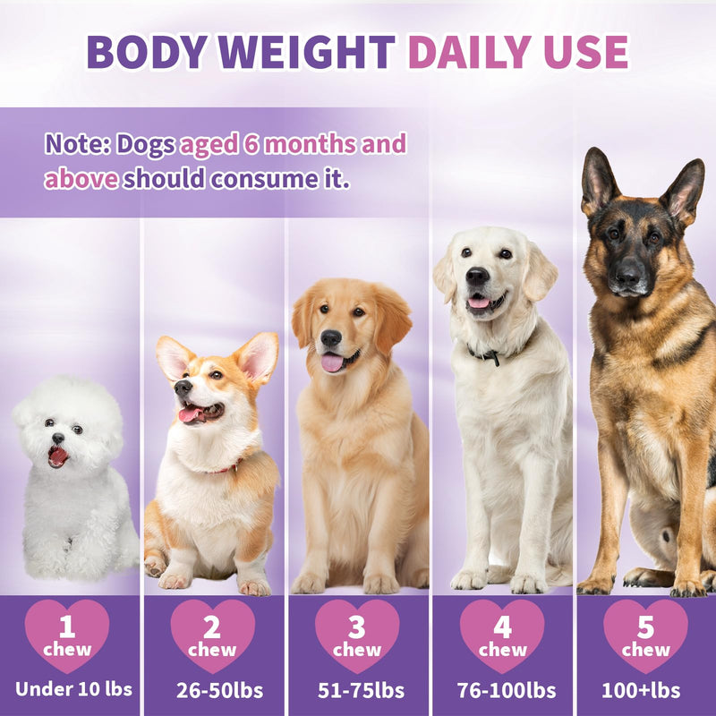 Calming Melatonin for Dogs, 200 Pet Chews Calming Treats for Sleep Aid Sleeping Pills Puppy Melatonin Bites Support Stress, Anxiety Relief, Separation for Small and Large Dogs Chicken M