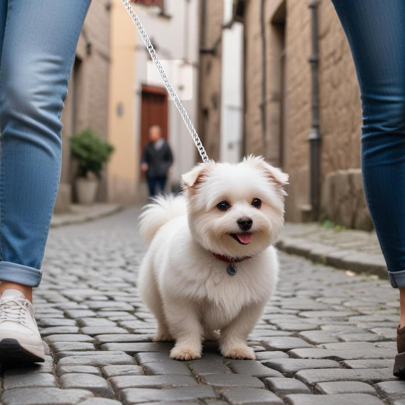 Heavy Duty Stainless Steel Dog Chain Leash 5 FTx3 mm Anti-Bite Dog Leash with Soft Padded Handle Chew Proof Cuban Link Metal Dog Leashes for Large & Medium Size Dogs (0-80 lbs) - BeesActive Australia