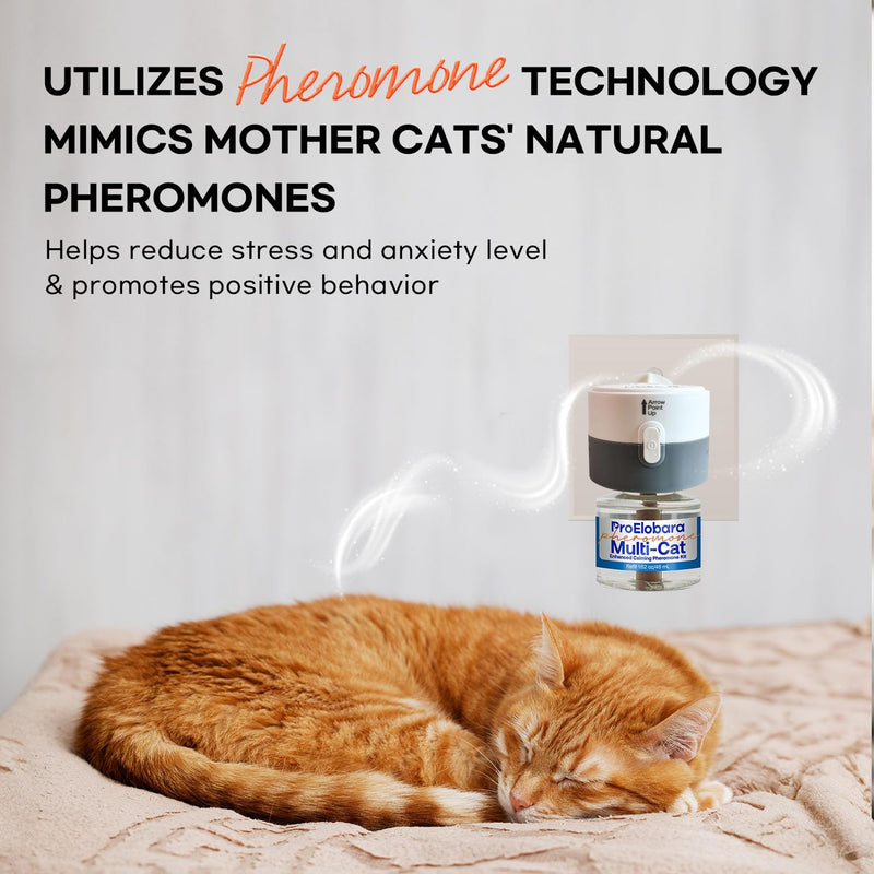 ProElobara Cat Calming Pheromones Diffuser: Cat Calming Pheromones Diffusers for Multicat - Reduces Stress and Anxiety with Calming Pheromones - Helps Control Bad Behavior with Calm Pheromones 60 Day BlueB - BeesActive Australia