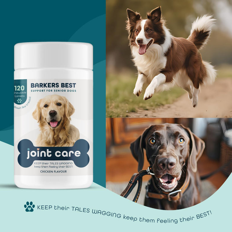 Dogs Joints Care Chewable Tablets for Adult Dogs 120 Tube with Glucosamine, Fish Oil and Vitamin C,Chicken Flavour-Barkers Best Brand