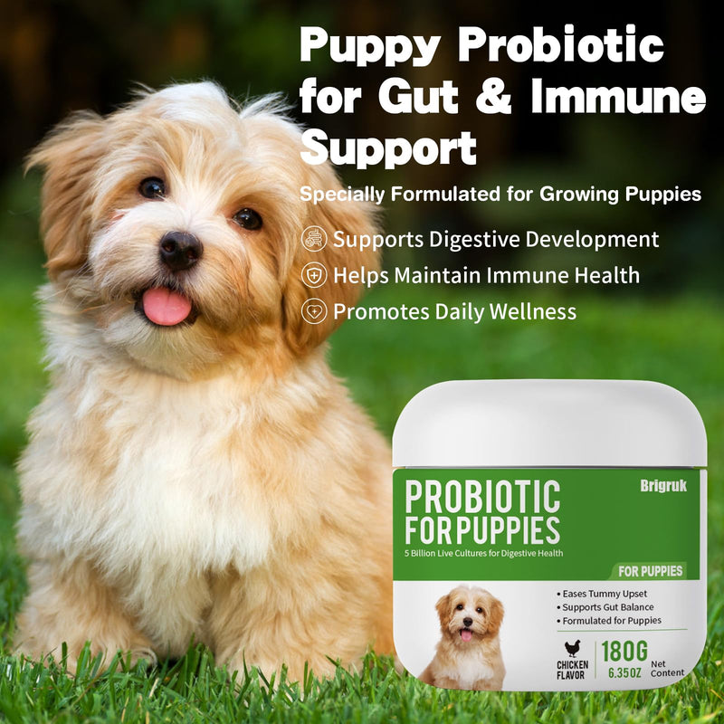 Probiotics for Puppies - 5 Billion CFU Digestive Health Supplement with 9 Strains & Prebiotics - Eases Tummy Upset, Gas & Soft Stools - Natural Chicken Flavor Powder - 180g (6.35 oz)