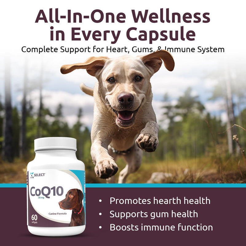 K9 Select CoQ10 Supplement for Dogs, 30mg - 60 Soft Gels per Bottle - Pet Supplement, Nutritional Softgels for Canine Heart Health, Cardiovascular & Gum Health, Energy - PawsPlanet Australia