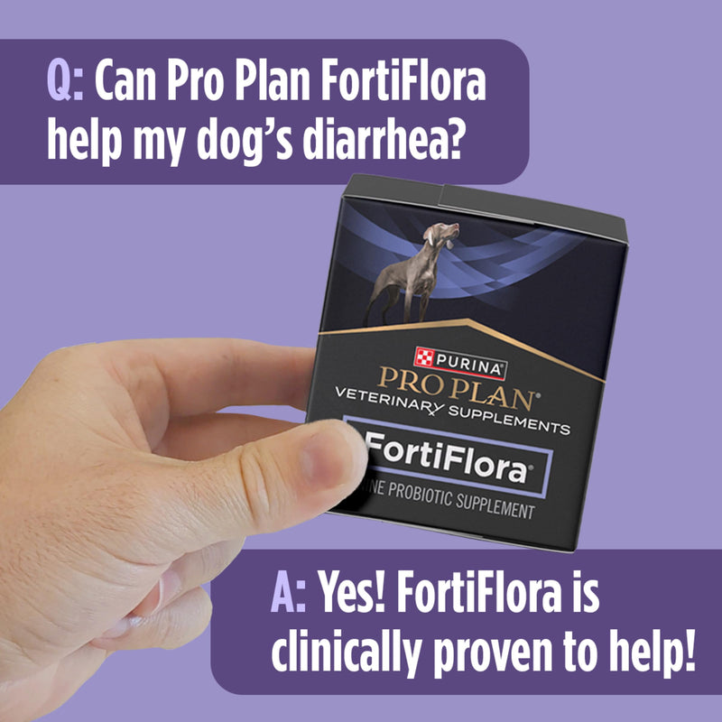 Purina Pro Plan Veterinary Supplements FortiFlora Daily Probiotics for Dogs,Helps Digestive Gut Health and Diarrhea - 30 ct. Box,(Pack of 2) 30 Count (Pack of 2)
