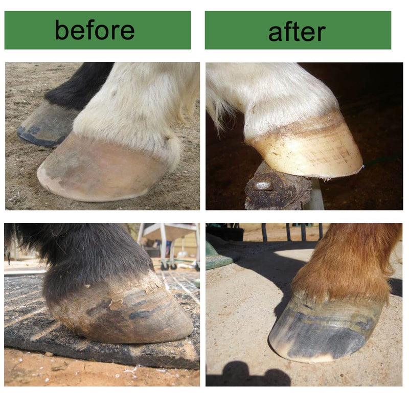 Wadoy Mini Hoof Rasp for Horses, Goat Feet Hooves, Hand-Held Rasp to Removes Excess Hoof Faster Horseshoe File Coarse Tooth for Foals, Goats and Other Animals - BeesActive Australia