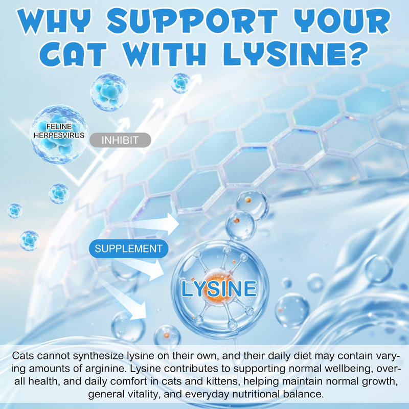 Lysine for Cats & Kittens - L-Lysine Supplement for Eye Function & Respiratory Health, Cat Lysine Drops for Respiratory, Sneezing, Runny Nose, Immune Support, Roast Chicken Flavor (60mL)