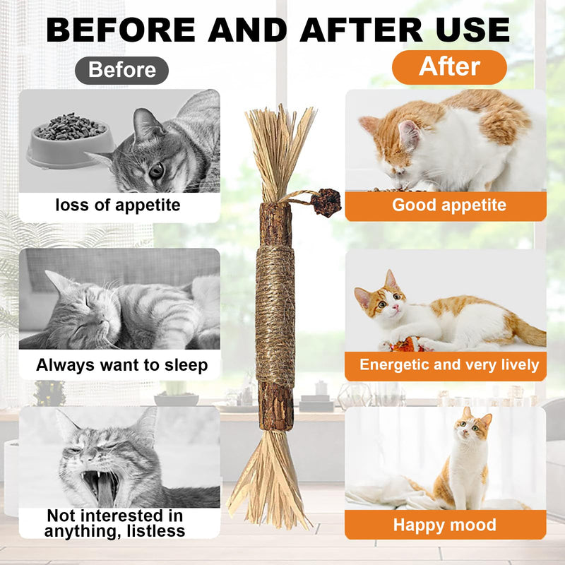 Natural Silvervine Dental Sticks, Natural Silvervine Sticks for Cats, Cleaning Dental, Scratch and Bite Resistant, Calm Cat Boring, for Indoor Kitty Interactive Kitten Chew Playthings (3Pcs) 3Pcs