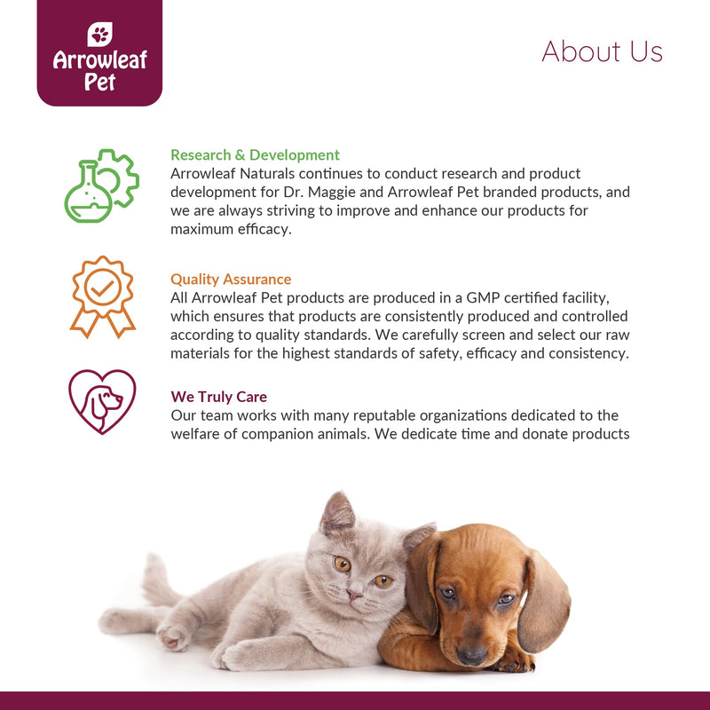 Vision Care by NaturPet Inc for Cats and Dogs | with Bilberry | Eye Support | 100mL Herbal Tincture - PawsPlanet Australia