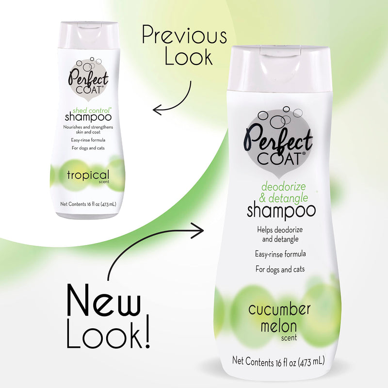 Detangle & Deodorize Shampoo - BeesActive Australia