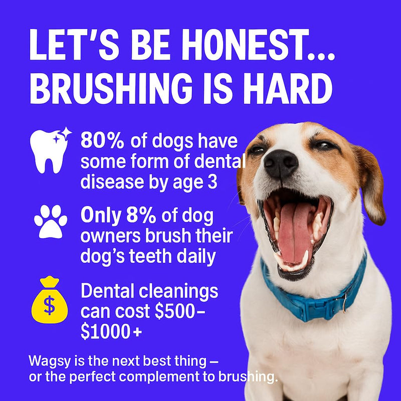 WAGSY Dog Breath Freshener & Dental Care Water Additive for Dogs Teeth - Made in USA, Naturally Derived Dog Mouthwash for Bad Breath, Plaque & Tartar Control, Whiter Teeth & Fresh Breath