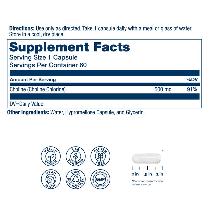 SOLARAY Choline 500 mg – Cognitive, Brain Health and Liver Support Supplement – Powerful Brain Supplement & Choline Source for Adults – Odor-Free, Vegan Liquid VegCaps – 60 Servings, 60 Capsules