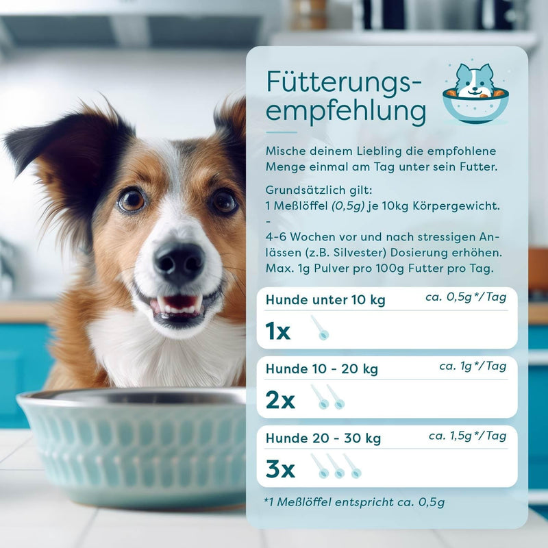 Dr. SAM Premium Anti-Stress Powder for Dogs – RelaxPet as a Natural Soothing Agent for Relaxation from Anxiety and Stress – Peace When Travelling and Special Occasions – High Dose – 45 g Hund