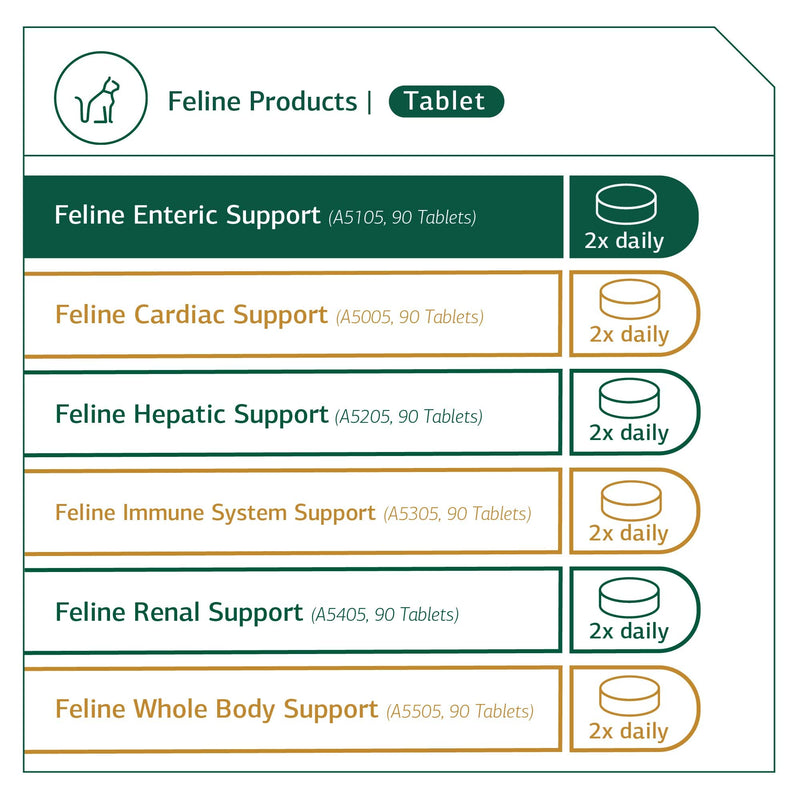 Standard Process - Feline Enteric Support - 90 Tablets - BeesActive Australia