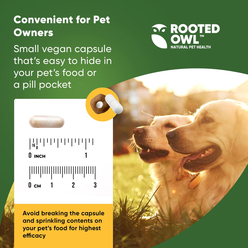 Turmeric - Turmeric Supplement for Dogs and Cats - with Curcumin, Piperine and Vitamin C for Anti-Inflammatory Relief - 60/ct - BeesActive Australia