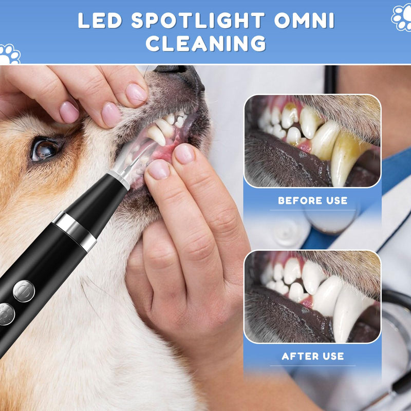Ultrasonic tartar remover for dogs and cats, tooth cleaner for pets, dog tooth cleaning set, teeth cleaning and cleaning set. Fights tartar, bad breath and gum inflammation - BeesActive Australia