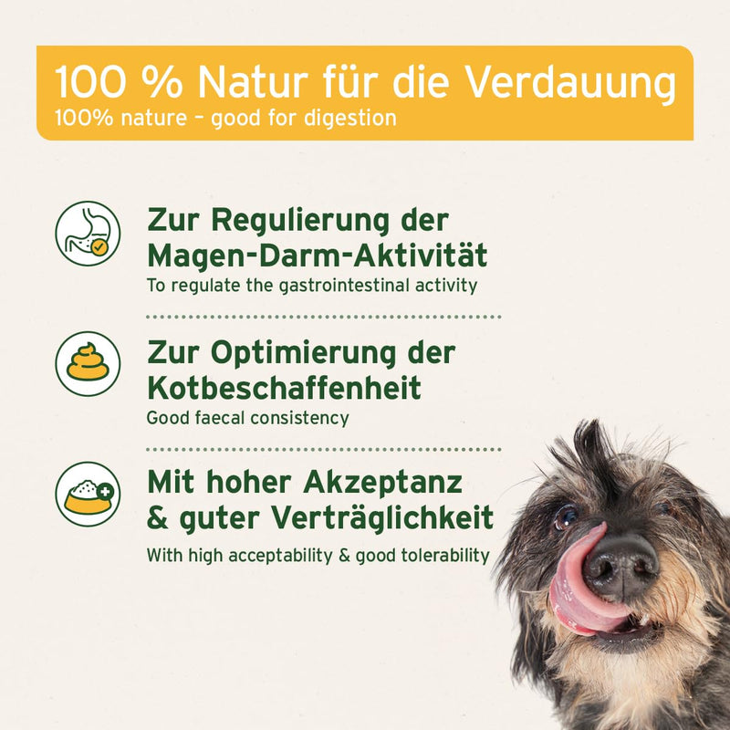 AniForte healing mud for dogs 1.2kg - improves the quality of the stool, digestion, immune system, gastrointestinal activity, appetite stimulation - natural mud healing clay for dogs with high acceptance 1.2kg - BeesActive Australia