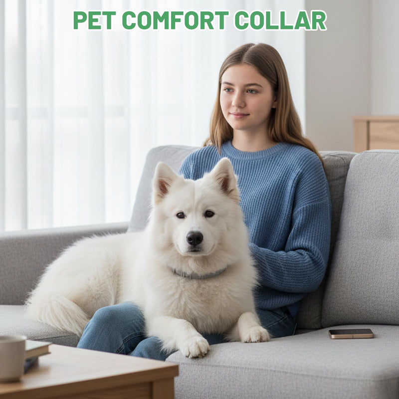 3 Pcs Calming Collar for Dogs, 70cm/27.56in Dog Calming Collar for Anxiety, Adjustable Anxiety Relief Collar, Dog Anxiety Relief for All Small Medium Dogs (Grey)