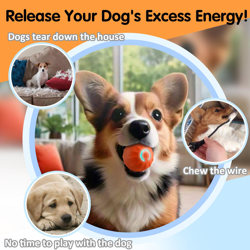Shaky Ball Toy for Dogs, Shaking Dog Ball, Vibrating Dog Ball,Vibrating Ball for Dogs, Interactive Dog Ball, Automatic Moving Dog Toy Ball for Dogs 2-Pack - BeesActive Australia