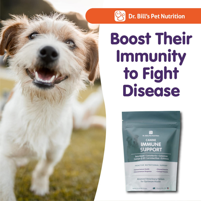 Dr. Bill’s Canine Immune Support | Immune Support for Dogs | Colostrum for Dogs | Pet Supplement | Includes Beta Glucan, Lactoferrin, Colostrum, Zinc, Coenzyme Q-10, and Bifidobacterium - PawsPlanet Australia