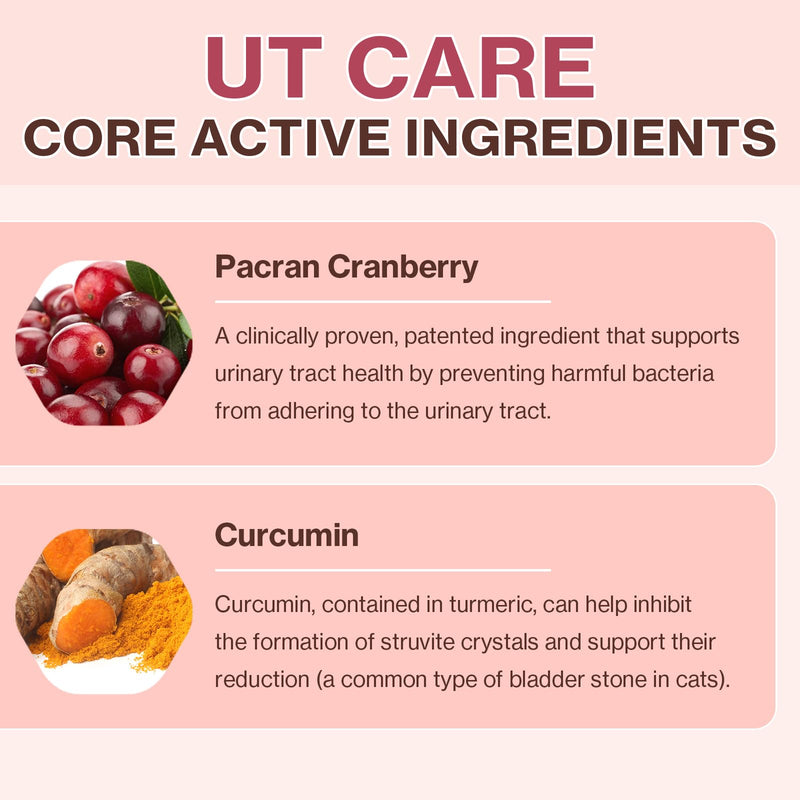 Doctor By UT Care Cat UTI Kidney Support Urinary Supplement Cranberry Treatment for Cats Renal Health with Pacran, Quercetin, Taurine lickable Formula Individually Packaged (1 Pack) 1 Pack