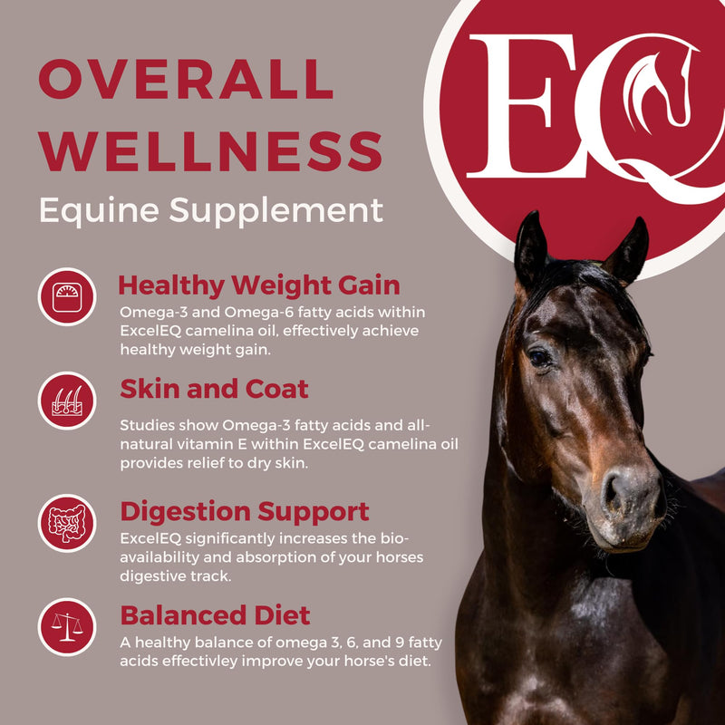 Equine Supplement - Horse Supplement for Joint Support, Muscle Development, Recovery and Gut Health, 32 Fl Oz - BeesActive Australia