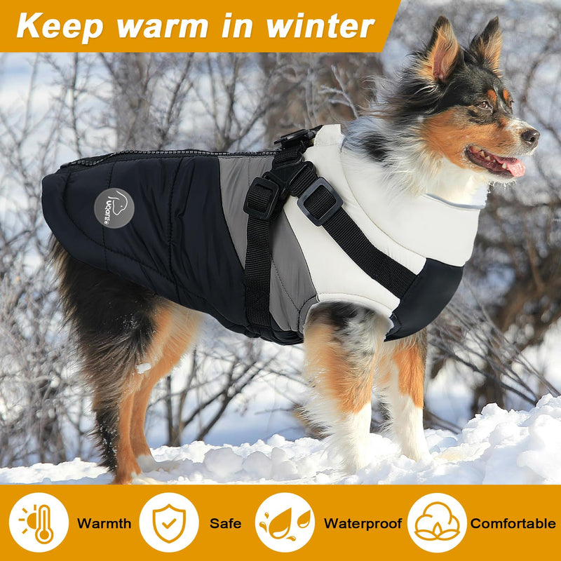 Warm Dog Winter Coat,Waterproof Dog Jacket with Built-in Harness,Dog Cold Weather Coat with Reflective Stripes,Winter Snow Dog Warm Coat for Small, Medium Dogs,Cold Weather Cozy (Black, L) Black - BeesActive Australia